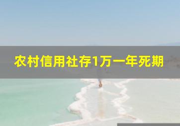 农村信用社存1万一年死期