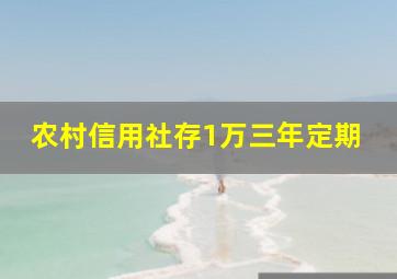 农村信用社存1万三年定期