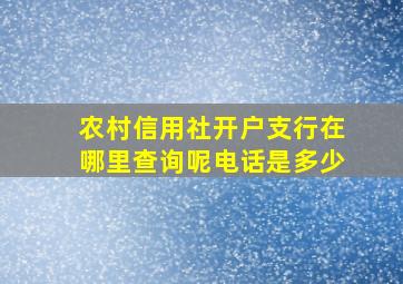 农村信用社开户支行在哪里查询呢电话是多少