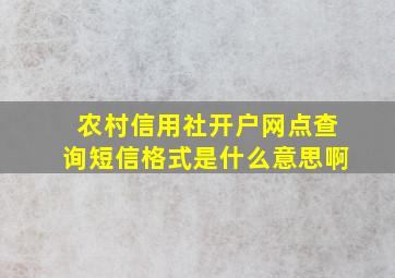 农村信用社开户网点查询短信格式是什么意思啊