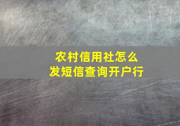 农村信用社怎么发短信查询开户行