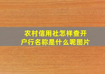 农村信用社怎样查开户行名称是什么呢图片