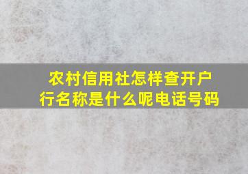 农村信用社怎样查开户行名称是什么呢电话号码