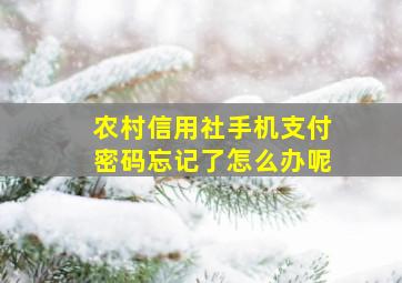 农村信用社手机支付密码忘记了怎么办呢