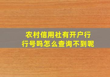 农村信用社有开户行行号吗怎么查询不到呢