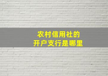 农村信用社的开户支行是哪里