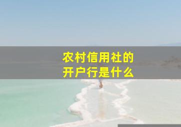 农村信用社的开户行是什么