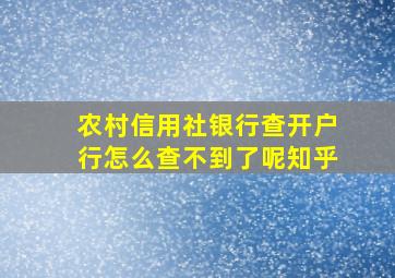 农村信用社银行查开户行怎么查不到了呢知乎