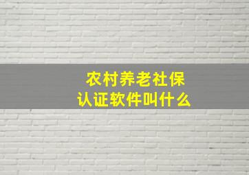 农村养老社保认证软件叫什么