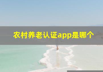 农村养老认证app是哪个