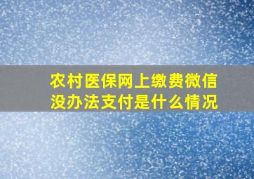 农村医保网上缴费微信没办法支付是什么情况