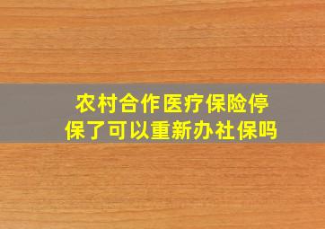 农村合作医疗保险停保了可以重新办社保吗