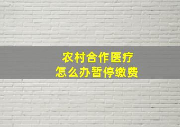 农村合作医疗怎么办暂停缴费