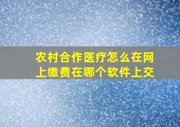 农村合作医疗怎么在网上缴费在哪个软件上交