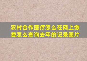 农村合作医疗怎么在网上缴费怎么查询去年的记录图片