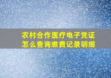 农村合作医疗电子凭证怎么查询缴费记录明细