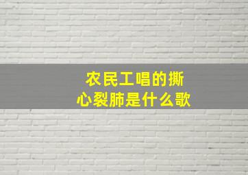 农民工唱的撕心裂肺是什么歌