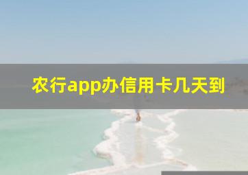 农行app办信用卡几天到