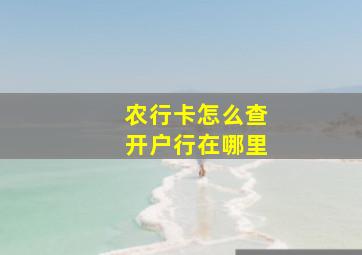 农行卡怎么查开户行在哪里