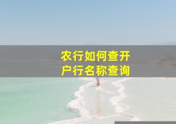 农行如何查开户行名称查询