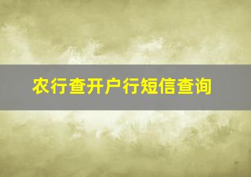 农行查开户行短信查询