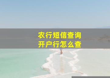 农行短信查询开户行怎么查