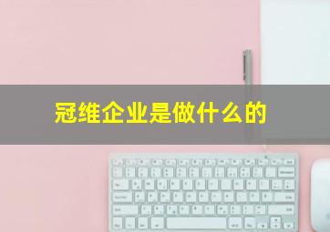 冠维企业是做什么的