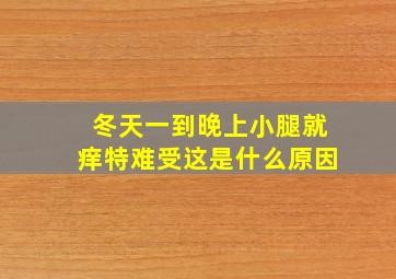 冬天一到晚上小腿就痒特难受这是什么原因