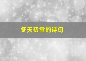 冬天初雪的诗句