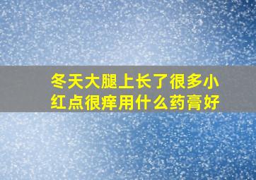 冬天大腿上长了很多小红点很痒用什么药膏好