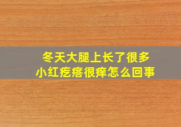 冬天大腿上长了很多小红疙瘩很痒怎么回事