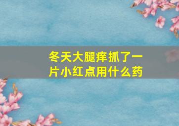 冬天大腿痒抓了一片小红点用什么药