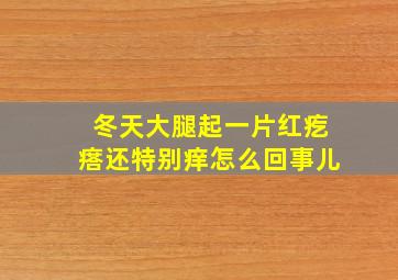 冬天大腿起一片红疙瘩还特别痒怎么回事儿