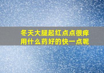 冬天大腿起红点点很痒用什么药好的快一点呢