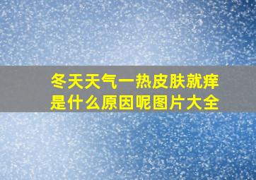 冬天天气一热皮肤就痒是什么原因呢图片大全