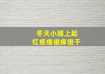 冬天小腿上起红疙瘩很痒很干