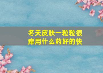 冬天皮肤一粒粒很痒用什么药好的快