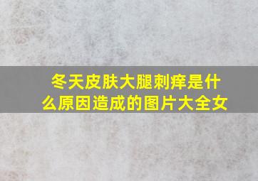 冬天皮肤大腿刺痒是什么原因造成的图片大全女