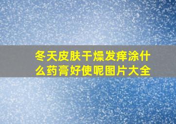 冬天皮肤干燥发痒涂什么药膏好使呢图片大全