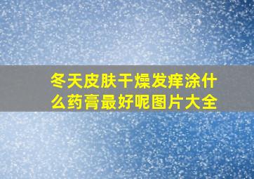 冬天皮肤干燥发痒涂什么药膏最好呢图片大全