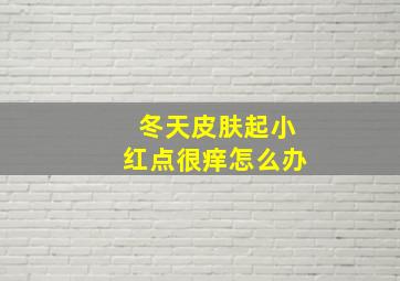 冬天皮肤起小红点很痒怎么办