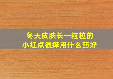 冬天皮肤长一粒粒的小红点很痒用什么药好