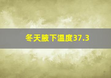 冬天腋下温度37.3