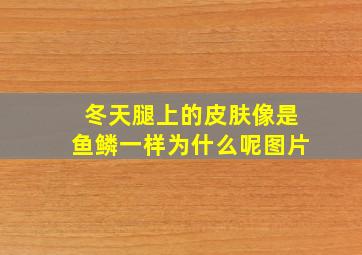 冬天腿上的皮肤像是鱼鳞一样为什么呢图片