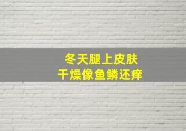 冬天腿上皮肤干燥像鱼鳞还痒