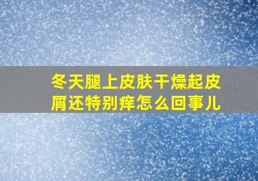 冬天腿上皮肤干燥起皮屑还特别痒怎么回事儿