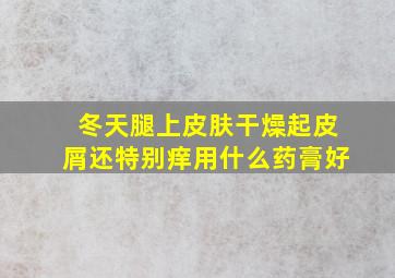 冬天腿上皮肤干燥起皮屑还特别痒用什么药膏好