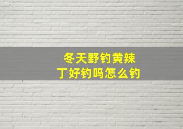 冬天野钓黄辣丁好钓吗怎么钓