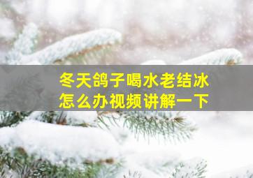 冬天鸽子喝水老结冰怎么办视频讲解一下