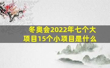 冬奥会2022年七个大项目15个小项目是什么